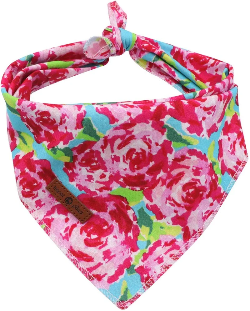 Lionet Paws Bandana para perro pequeño, mediano y grande, pañuelo para perro o gato