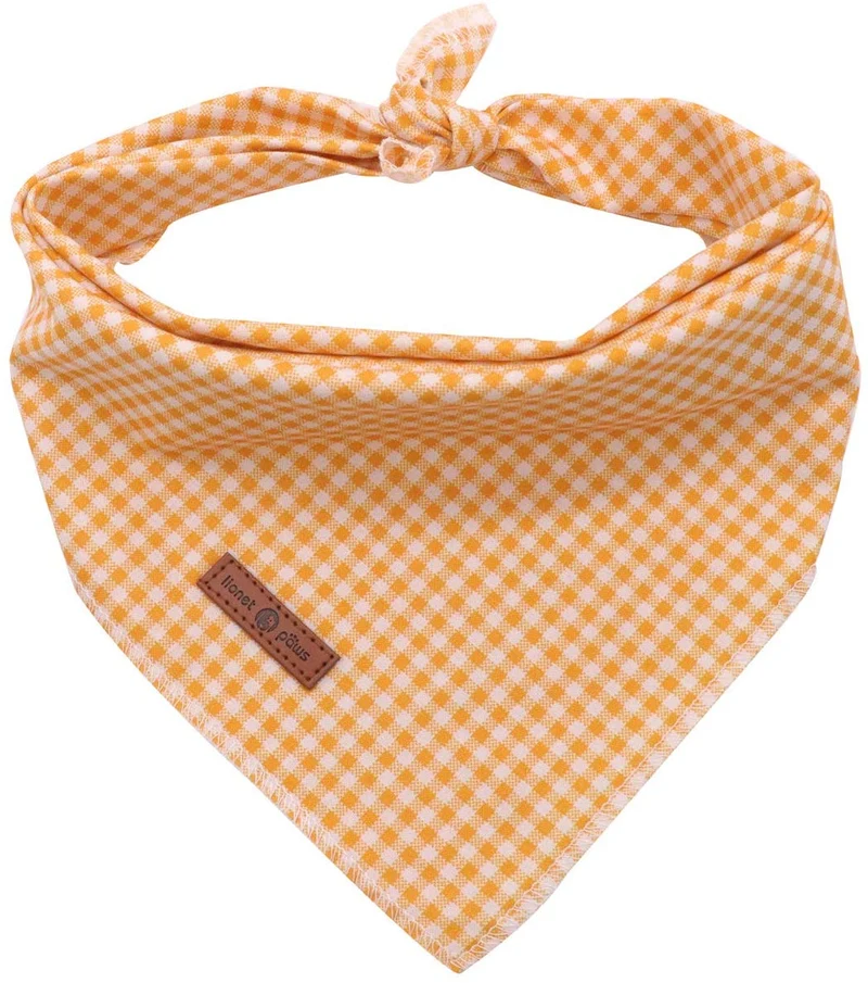 Lionet Paws Bandana para perro pequeño, mediano y grande, pañuelo para perro o gato