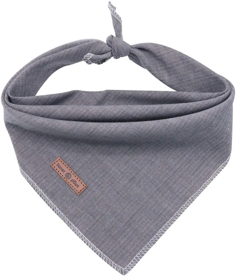 Lionet Paws Bandana para perro pequeño, mediano y grande, pañuelo para perro o gato