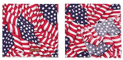 Lionet Paws Bandana para perro pequeño, mediano y grande, pañuelo para perro o gato