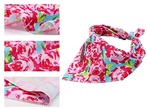 Lionet Paws Bandana para perro pequeño, mediano y grande, pañuelo para perro o gato