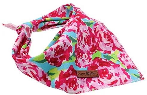 Lionet Paws Bandana para perro pequeño, mediano y grande, pañuelo para perro o gato
