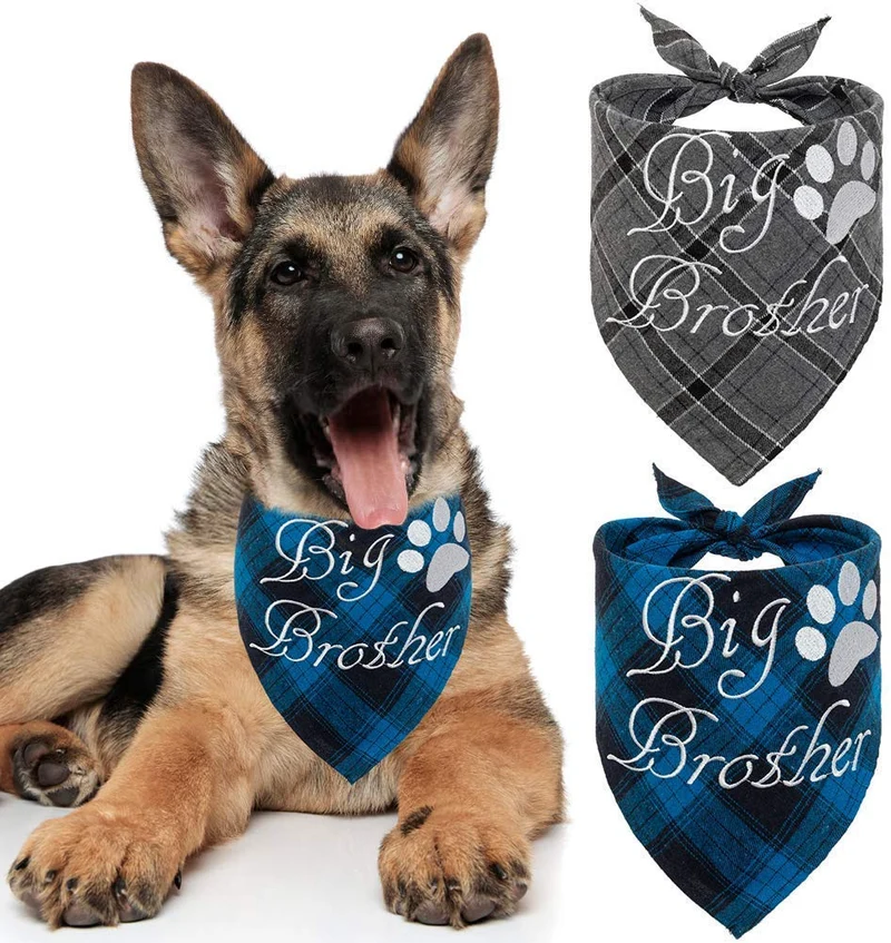 Pañuelo bandana para perro a cuadros EXPAWLORER – 2 piezas bordado de Big Brother lavable algodón triángulo accesorios para perros pequeños, medianos, grandes, cachorros, mascotas, azul y gris