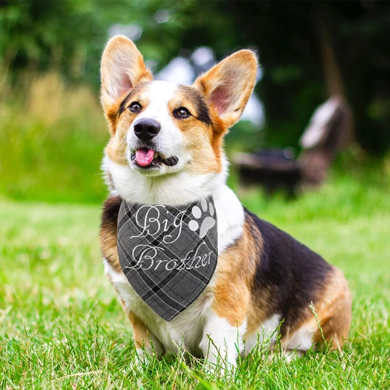 Pañuelo bandana para perro a cuadros EXPAWLORER – 2 piezas bordado de Big Brother lavable algodón triángulo accesorios para perros pequeños, medianos, grandes, cachorros, mascotas, azul y gris