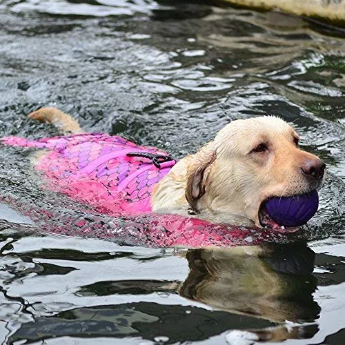 Chaleco salvavidas para perros WOpet a la moda. Chaleco salvavidas para la seguridad del perro en la playa, piscina y barcos