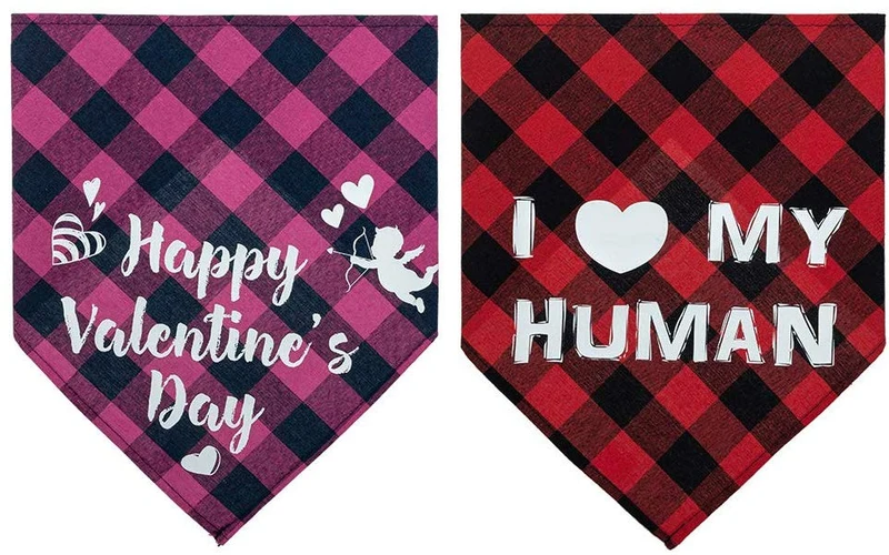 PUPTECK Valentine's Day Dog Bandana - 2 Pack Sweet Plaid Triangle Bibs Scarf Accessories for Dogs Cats Pets, I Love My Human, Happy Valentine's Day, Super Soft Scarf, Red and Pink
