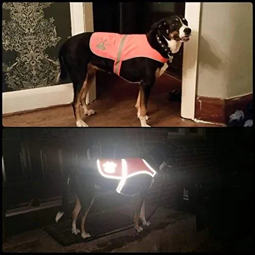 maggift perro chaleco reflectante para mascotas, chaleco de seguridad naranja