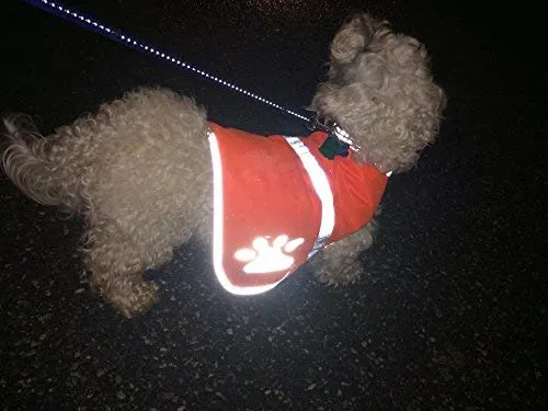 maggift perro chaleco reflectante para mascotas, chaleco de seguridad naranja