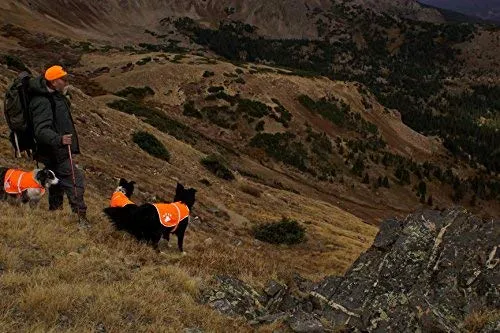 maggift perro chaleco reflectante para mascotas, chaleco de seguridad naranja