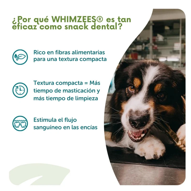Whimzees Occupy Antler M Bolsa 12 uds