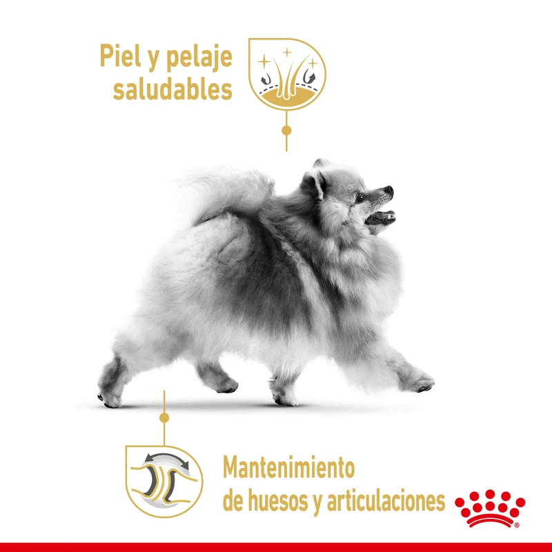 Royal Canin Pomerania Adulto Pienso para Perros de Raza