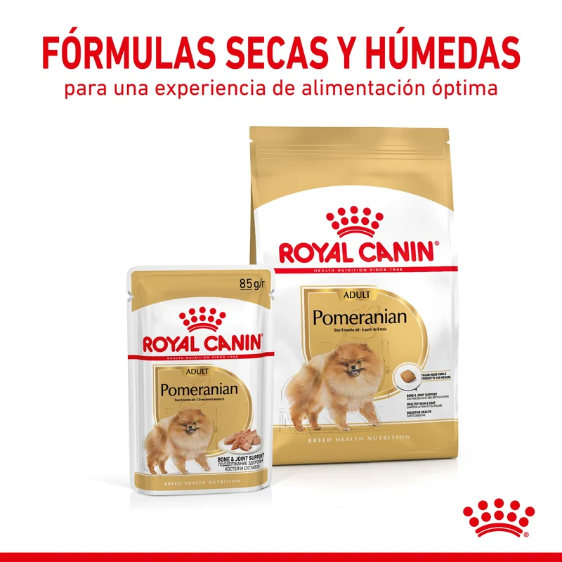 Royal Canin Pomerania Adulto Pienso para Perros de Raza