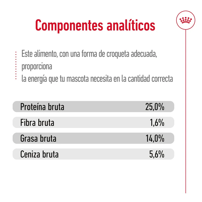 Royal Canin Medium Adult 7+ Pienso para Perros
