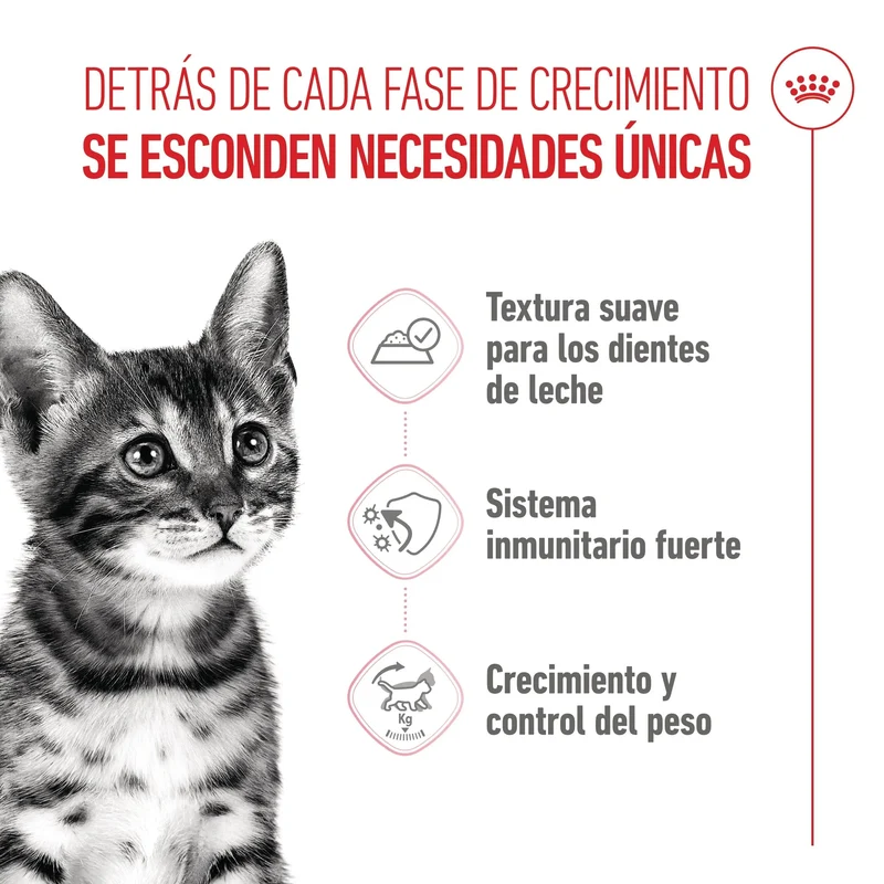 Royal Canin Kitten Sterilized Gelatina 85 g Alimento Húmedo para Gatitos