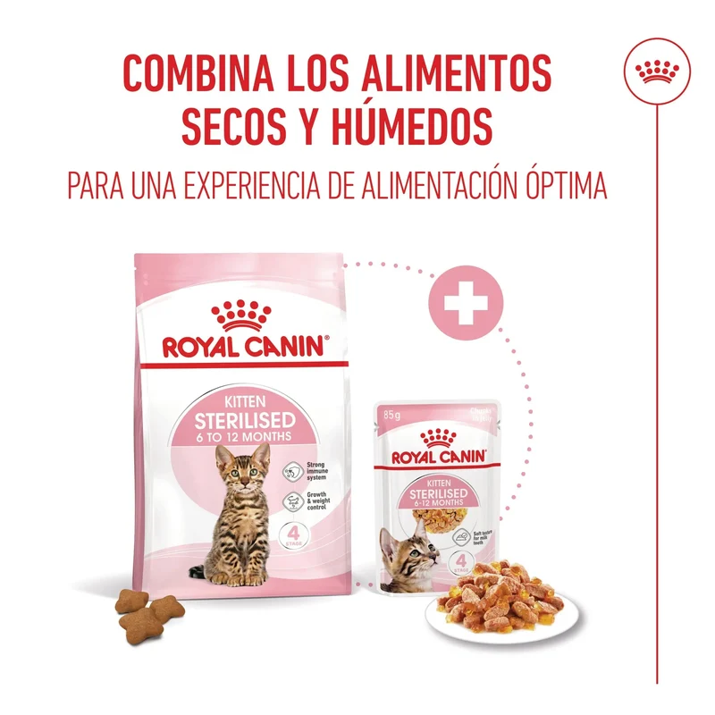 Royal Canin Kitten Sterilized Gelatina 85 g Alimento Húmedo para Gatitos