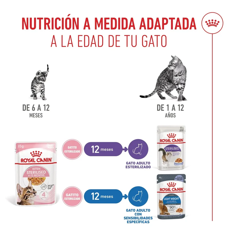 Royal Canin Kitten Sterilized Gelatina 85 g Alimento Húmedo para Gatitos