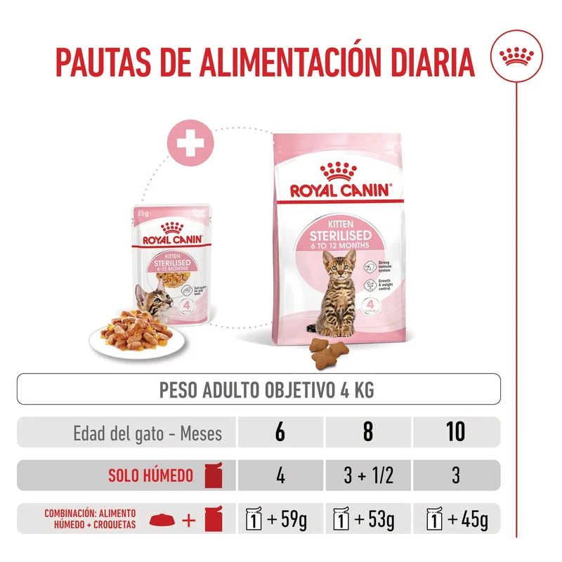Royal Canin Kitten Sterilized Gelatina 85 g Alimento Húmedo para Gatitos