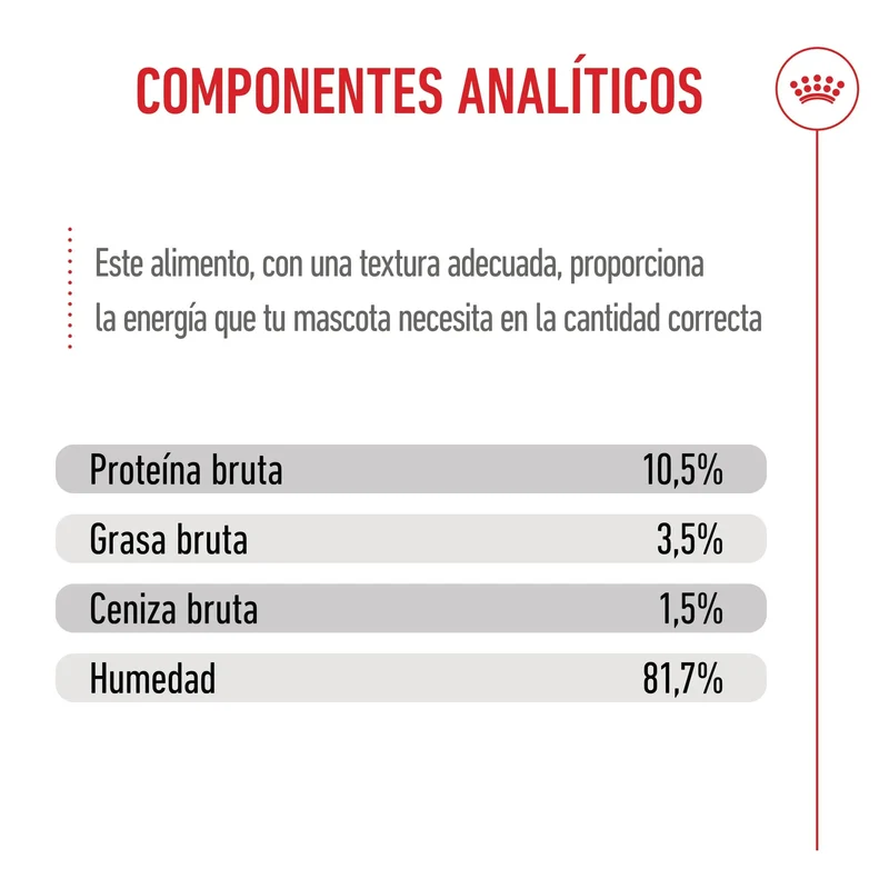 Royal Canin Kitten Sterilized Gelatina 85 g Alimento Húmedo para Gatitos