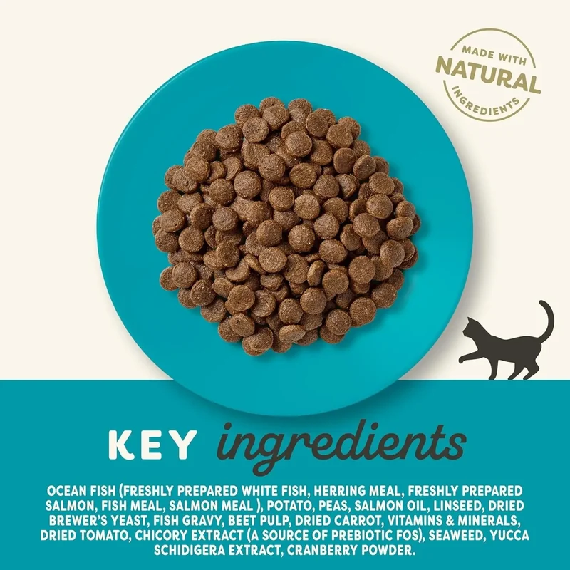 Applaws Cat Dry Adulto Pescado y Salmón 1,8 kg