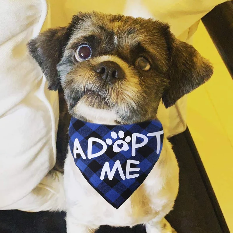 JPB Adopt Me - Bandana para perro (2 unidades)