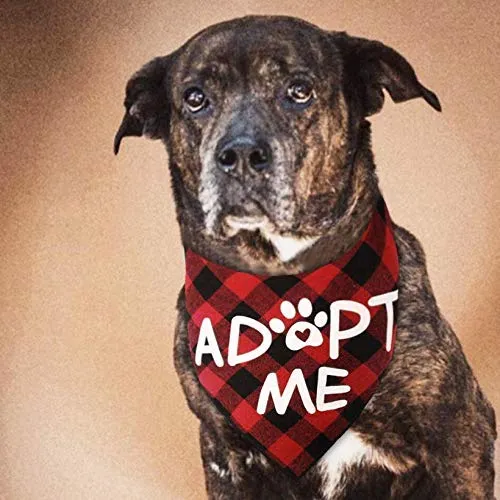JPB Adopt Me - Bandana para perro (2 unidades)