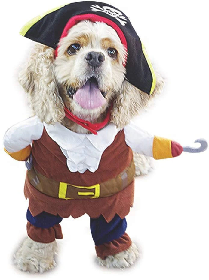 Disfraces de Nacoco. Disfraz para mascotas y perros de Piratas del Caribe, disfraz para gatos
