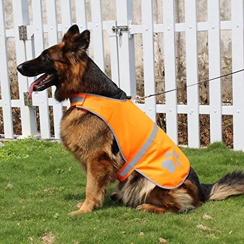 hiado perro de alta visibilidad reflectante chaleco de seguridad con velcro, Keep perro visible a salvo de coches y la caza Accidentes