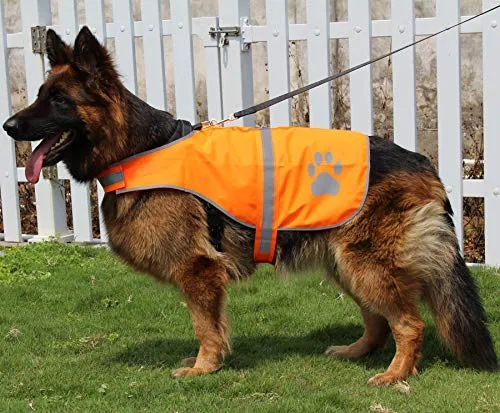 hiado perro de alta visibilidad reflectante chaleco de seguridad con velcro, Keep perro visible a salvo de coches y la caza Accidentes