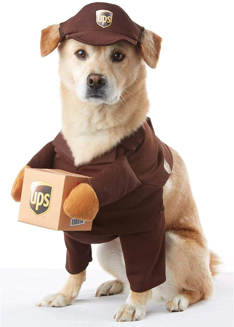 Brown_UPS PAL - Disfraz para perro