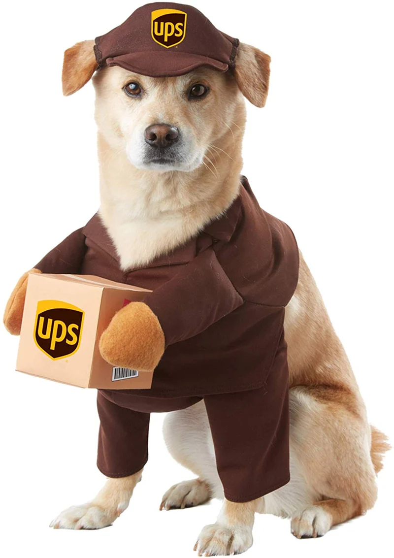 Brown_UPS PAL - Disfraz para perro