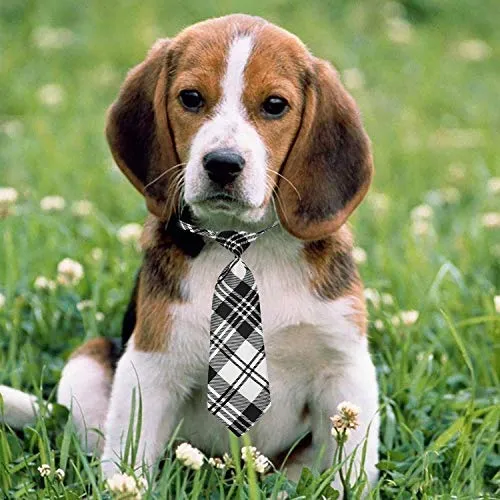 Segarty - Corbata para perro, tamaño mediano, tamaño grande, con lazos para perro, ajustable, para mascotas, gatos, perros, collares, para festivales de vacaciones, accesorios de aseo