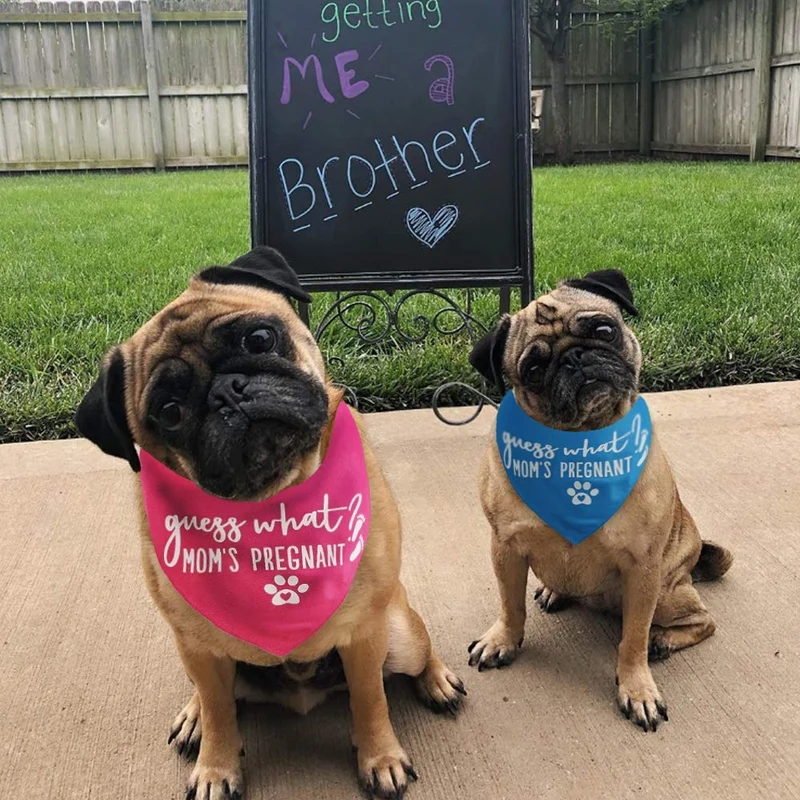 ¿Adivina qué? My Mom is Pregnant - Bandana para perro (2 unidades)