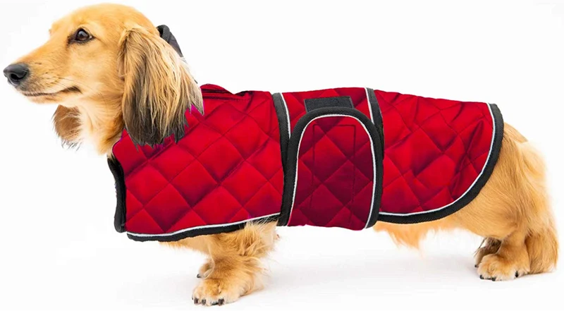 Geyecete Abrigo de invierno acolchado térmico cálido para perro con forro polar cálido, ropa para perro al aire libre con bandas ajustables para perros medianos, grandes