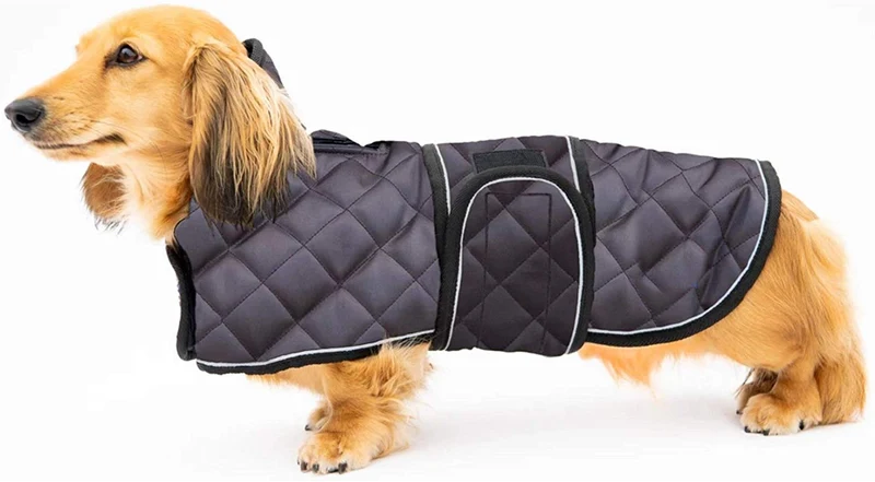 Geyecete Abrigo de invierno acolchado térmico cálido para perro con forro polar cálido, ropa para perro al aire libre con bandas ajustables para perros medianos, grandes