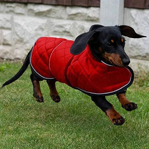 Geyecete Abrigo de invierno acolchado térmico cálido para perro con forro polar cálido, ropa para perro al aire libre con bandas ajustables para perros medianos, grandes