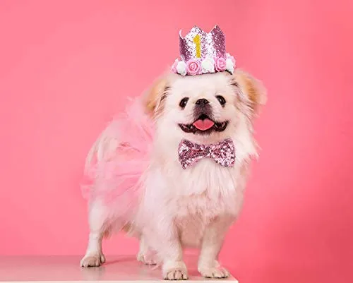 Legendog - Accesorio para fiesta de cumpleaños de perro, sombrero de cumpleaños con letras, falda tutú para perro, pajarita, lindo vestido de cumpleaños para perro, disfraz de cumpleaños para perros pequeños