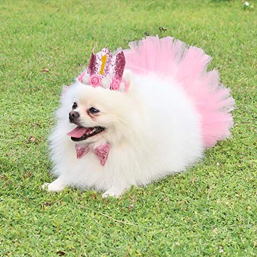 Legendog - Accesorio para fiesta de cumpleaños de perro, sombrero de cumpleaños con letras, falda tutú para perro, pajarita, lindo vestido de cumpleaños para perro, disfraz de cumpleaños para perros pequeños