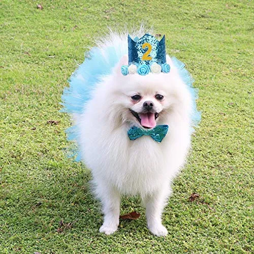 Legendog - Accesorio para fiesta de cumpleaños de perro, sombrero de cumpleaños con letras, falda tutú para perro, pajarita, lindo vestido de cumpleaños para perro, disfraz de cumpleaños para perros pequeños