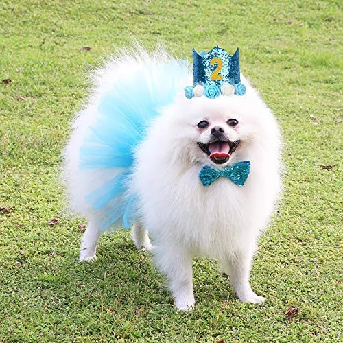 Legendog - Accesorio para fiesta de cumpleaños de perro, sombrero de cumpleaños con letras, falda tutú para perro, pajarita, lindo vestido de cumpleaños para perro, disfraz de cumpleaños para perros pequeños
