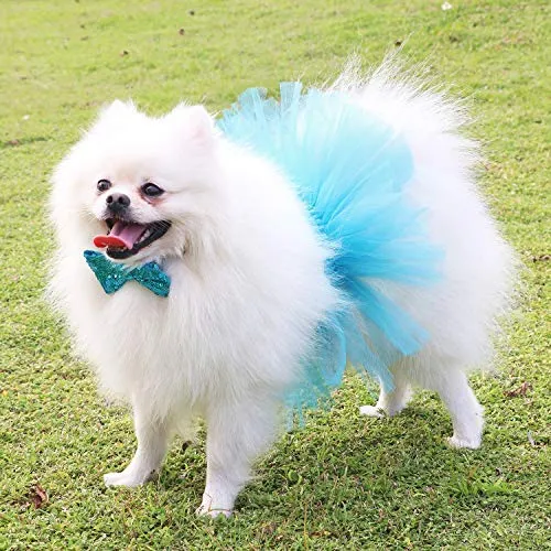 Legendog - Accesorio para fiesta de cumpleaños de perro, sombrero de cumpleaños con letras, falda tutú para perro, pajarita, lindo vestido de cumpleaños para perro, disfraz de cumpleaños para perros pequeños