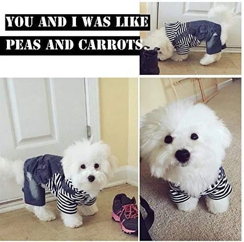 SILD - Mono para perro, vaquero, con capucha, color azul frío, talla mediana, para perros pequeños