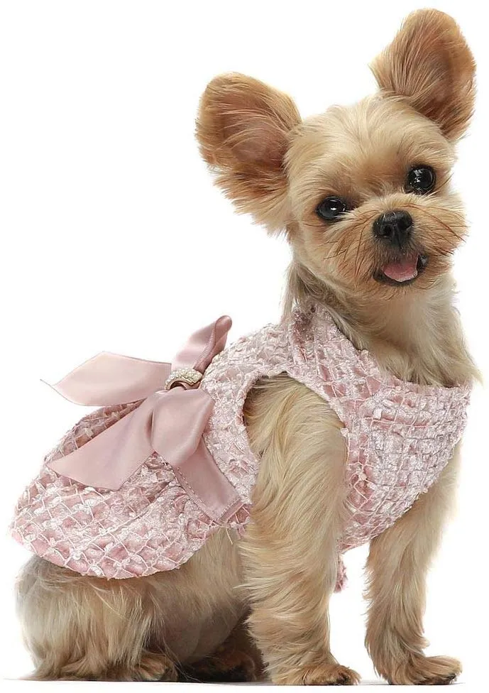 Fitwarm - Vestidos de perro bordados para mascotas, vestido de baile de graduación, color rosa