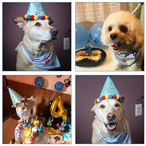 D-buy - Juego de 13 pañuelos para fiesta de cumpleaños de perro, bandana, gorro de fiesta de cumpleaños, 10 globos de huellas y un rollo de cinta de plata de 400 pulgadas, suministros para fiestas de cumpleaños para perros, mascotas