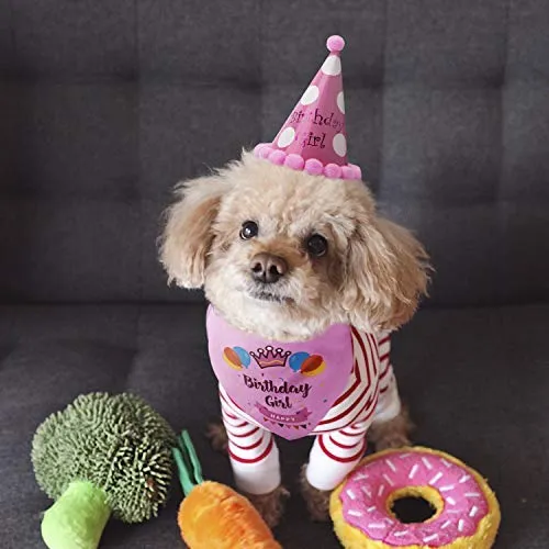 LUTER - Bandana de cumpleaños para perro, diseño de triángulo