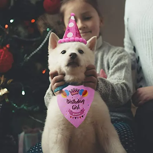 LUTER - Bandana de cumpleaños para perro, diseño de triángulo