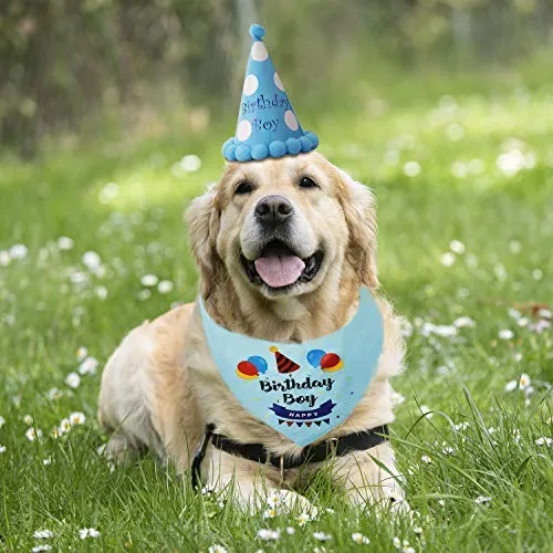 LUTER - Bandana de cumpleaños para perro, diseño de triángulo