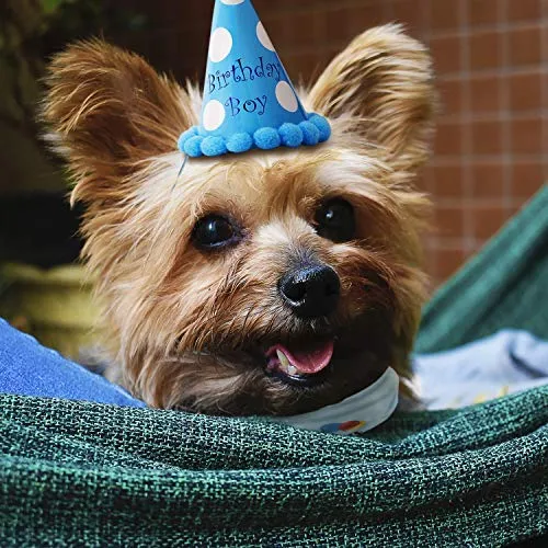 LUTER - Bandana de cumpleaños para perro, diseño de triángulo