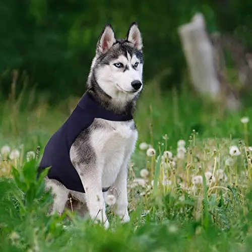 Eagloo - Chaqueta de ansiedad para perro para perro (antiansiedad, antiansiedad, antiansiedad y alivio del estrés, ligera y calmante para mascotas para truenos y ansiedad), color azul marino