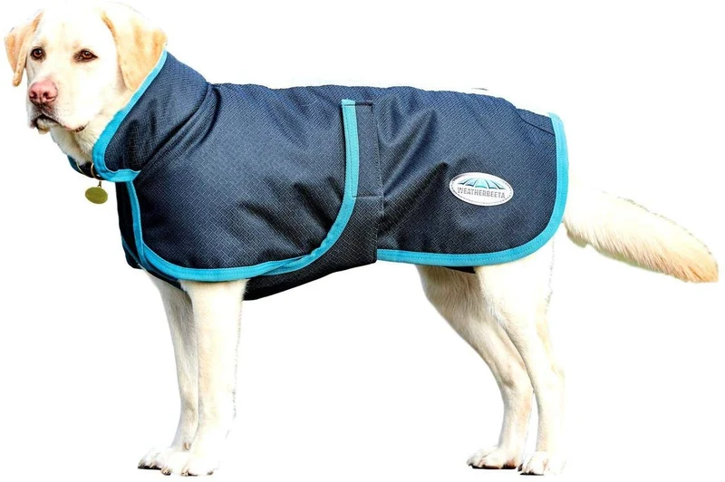 WeatherBeeta Parka 1200D, abrigo para perro