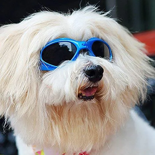 Namsan - Gafas de sol para mascotas, perros y cachorros, protección contra rayos UV, impermeables